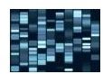 DNA Tribes and Ethnoancestry: Establishing your Origin through Genetic Analysis