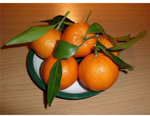 Citrus reticulata fruit 