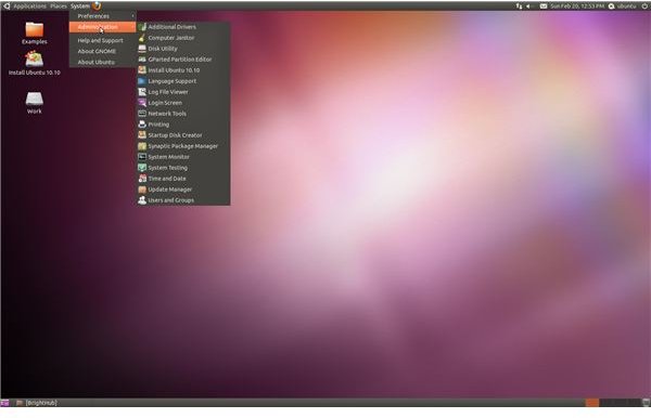 Ubuntu-10-10-System-Administration