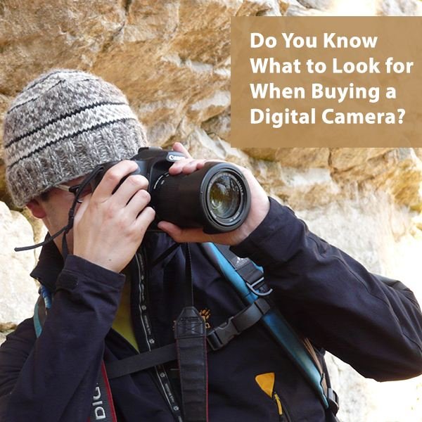 Shopping for a new digital camera? What things should you really be paying attention to?