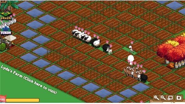 Planting in patterns makes your farm look ornamental as they grow