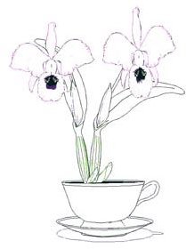 Orchid coloring page