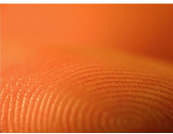 Science Experiments with Fingerprints: A Low-Tech & Effective Forensic Technique