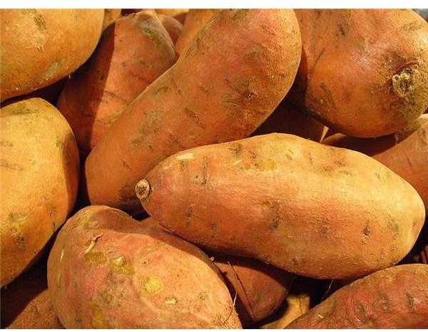 Sweet Potato Nutrition Facts