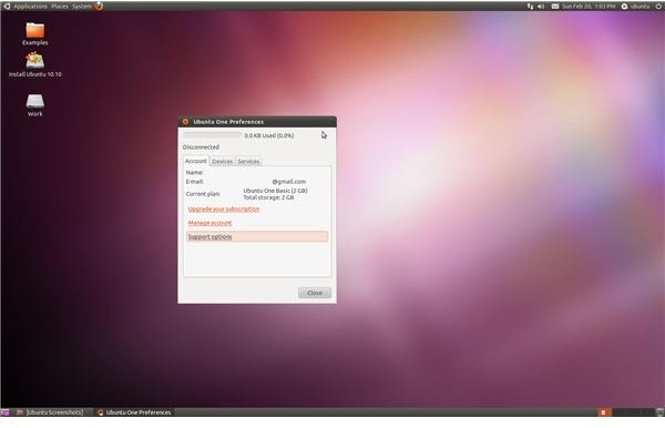 Ubuntu-10-10-Ubuntu One Preferences
