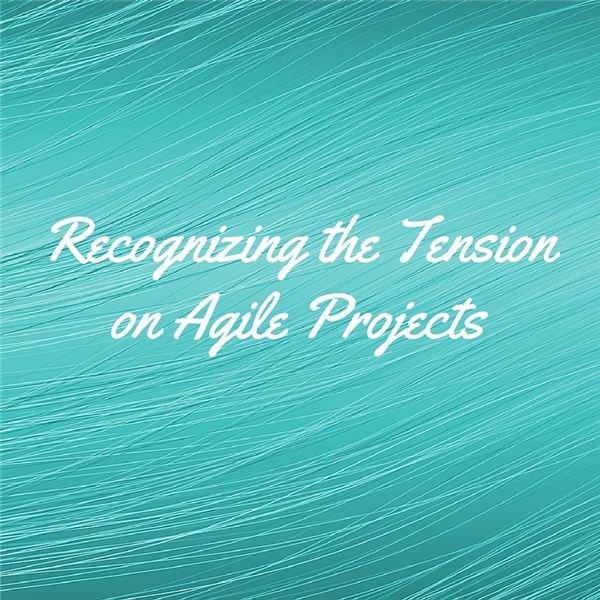 Recognizing and Eliminating Agile Project Management Challenges: Reducing Tension
