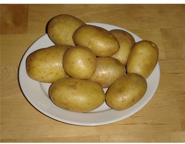 800px-Kartoffeln der Sorte Marabel