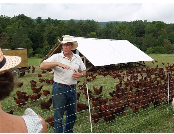 800px-Joel Salatin in front of hens