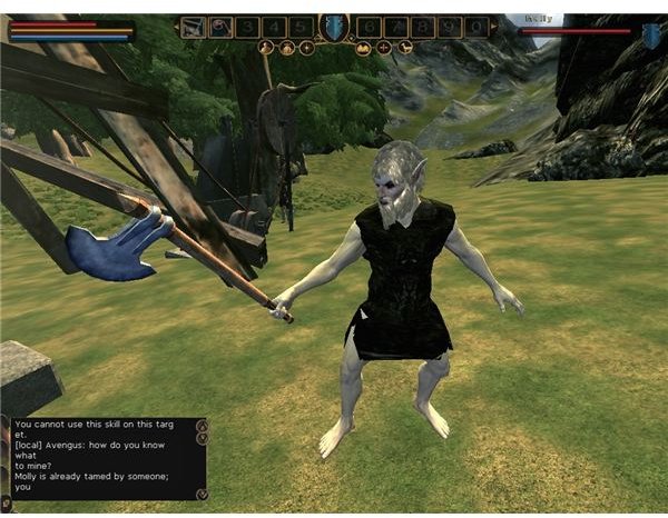 Mortal Online Review: One of the worst MMOs ever