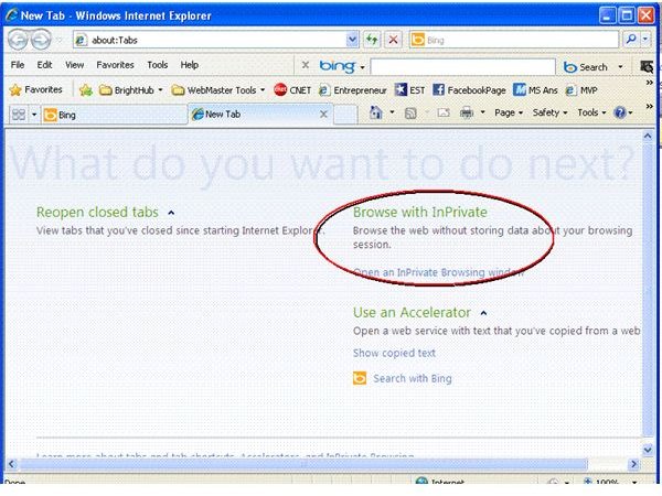 Microsoft Internet Explorer - Tabbed Browsing n InPrivate Mode