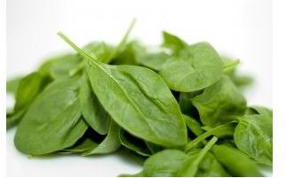 933499 spinach