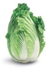 Just a picture of a Chinese cabbage