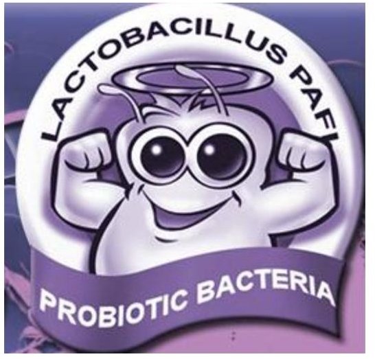 Lactopafi probiotic supplement