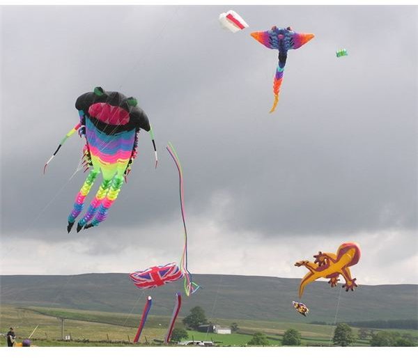 High Force Kite Festival - geograph.org.uk - 222628
