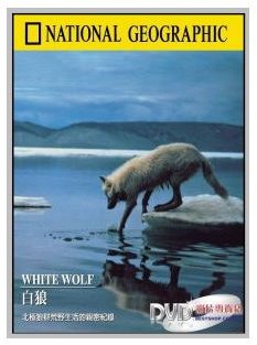 National Geographic White Wolf