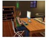 Sims 3 guide to writing computer