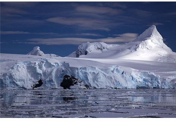 Where Do Glaciers Form? Their Origins and Their Effects on Animals and the Environment