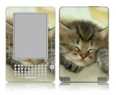 Factory Outlet Protective Kindle Skins3