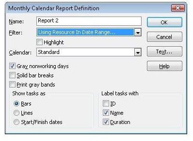 MS Project Custom Calendar Reports