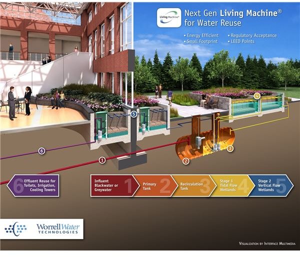 Living Machines to Promote Green Computing