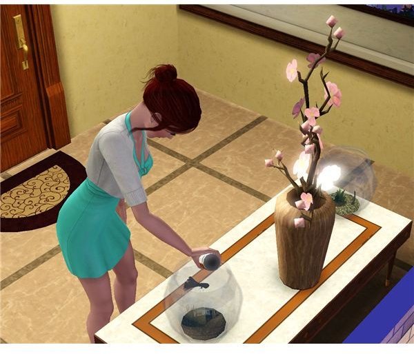 How to Catch The Sims 3 Death Fish & What You Can Do With It