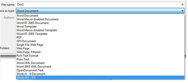 Word File Types