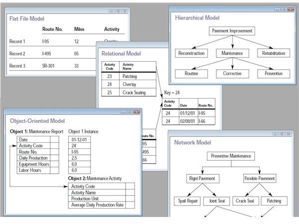 The Major Types of Database Management Systems