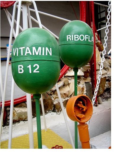 vitamin b12 by emily thorson google images flickr