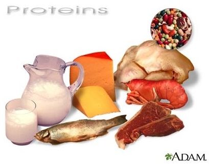 Learn Why You Should Eat Food High in Tryptophan