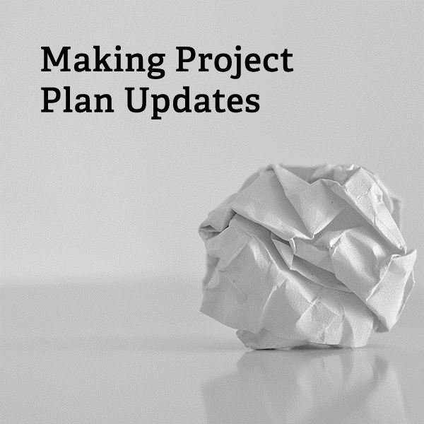 What should be included in project plan updates?