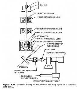 SEM schematic img