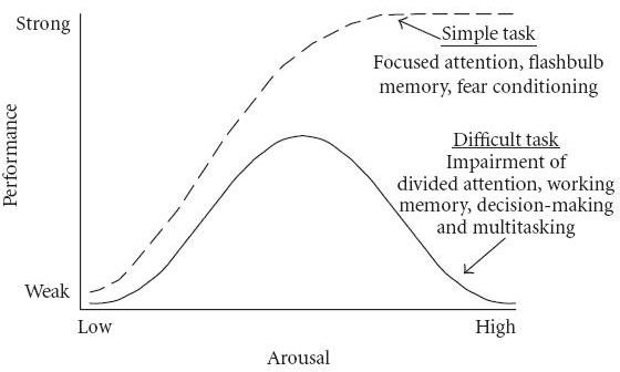 Explaining Adverse Impact Analysis: A Case Study Example & Free Worksheet