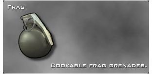 Modern Warfare 2 Online Weapons Guide: From Frag Grenade to Blast Shield & More