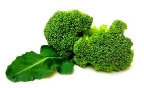 1165337 broccoli 