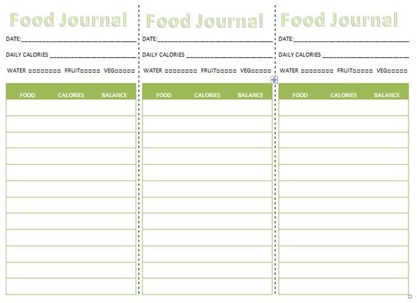 Purse or Pocket Food Journal