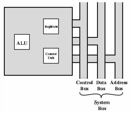 The Central Processing Unit