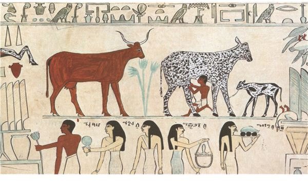 an early example of animal husbandry, note the boy milking the cow