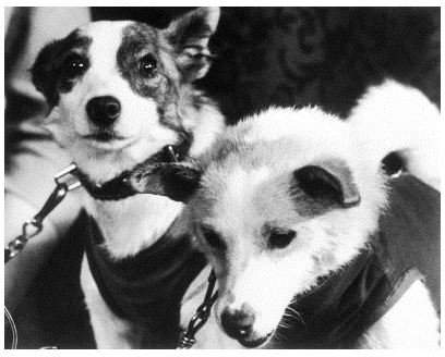 Belka and Strelka