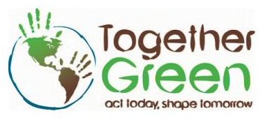 Volunteer for the Environment with These Go Green Groups