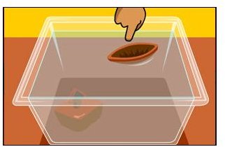 Preschool Science Sink Or Float Activity To Learn About