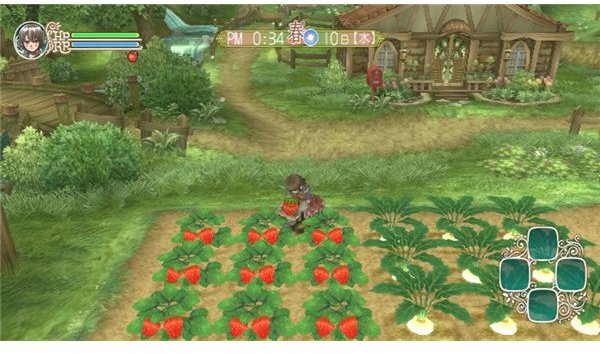 rune factory frontier green ruins map