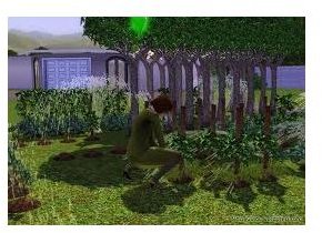sims 3 store sims3guide gardening