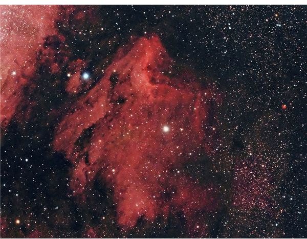 All About the Pelican Nebula