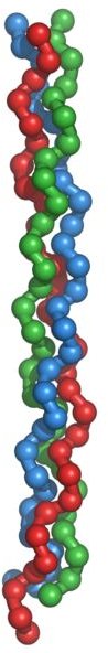 Disease of the Skeletal System: Achondrogenesis type 2 - a Skeletal Disease