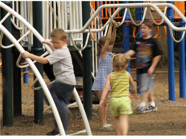What is Normal Behavior in Young Students? Common Behavior Challenges in Early Childhood Education