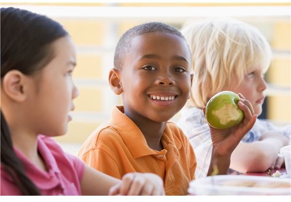 The Link Between Nutrition & Academic Performance: Important Information for Parents