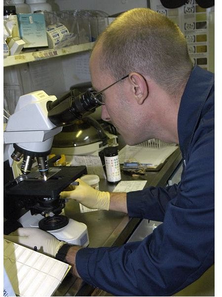 428px-US Navy 040616-N-4565G-004 Advanced laboratory technician Hospital Corpsman 2nd Class John Zettlemoyer views a blood sample through a forensics microscope