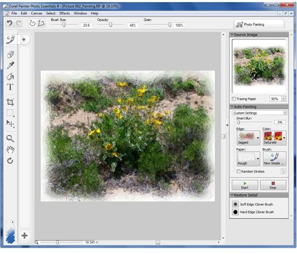 Painter Photo Essentials 4