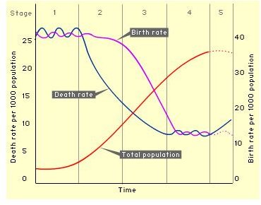What is Demographic Transition Theory and How it Relates to Overpopulation