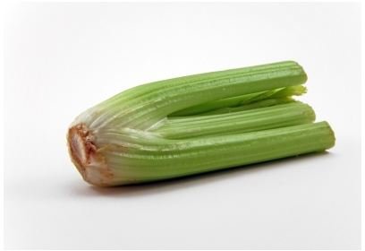 Celery has xylem and phloem